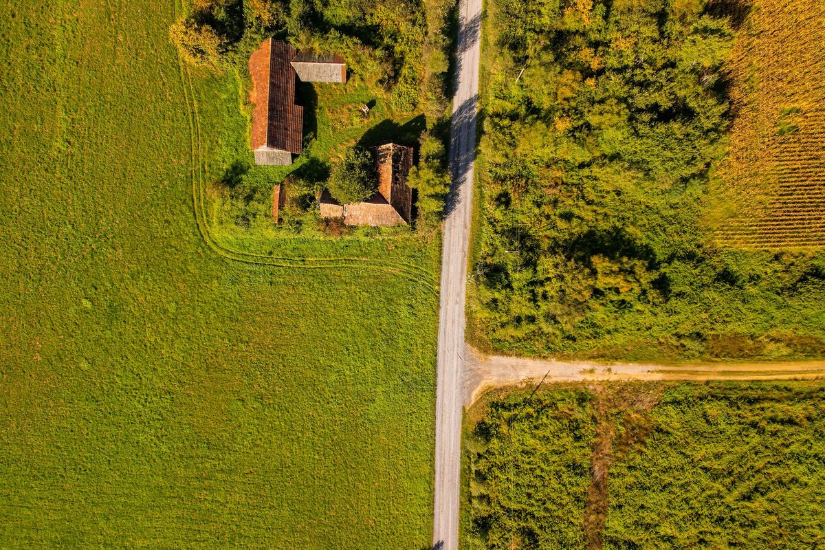 culture agricole en limite de propriete