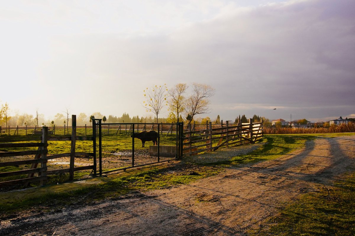 loi sur les clotures en terrain agricole