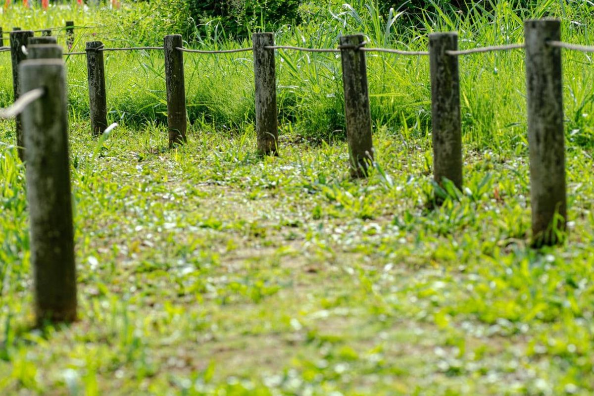 distance entre une clôture et un champ