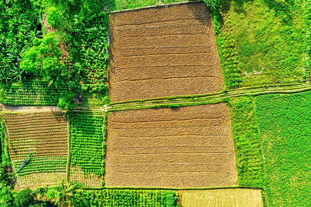 quelle est la valeur d'un hectare